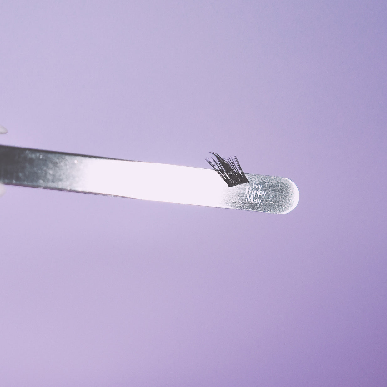 'madison' fox eye winged lash clusters