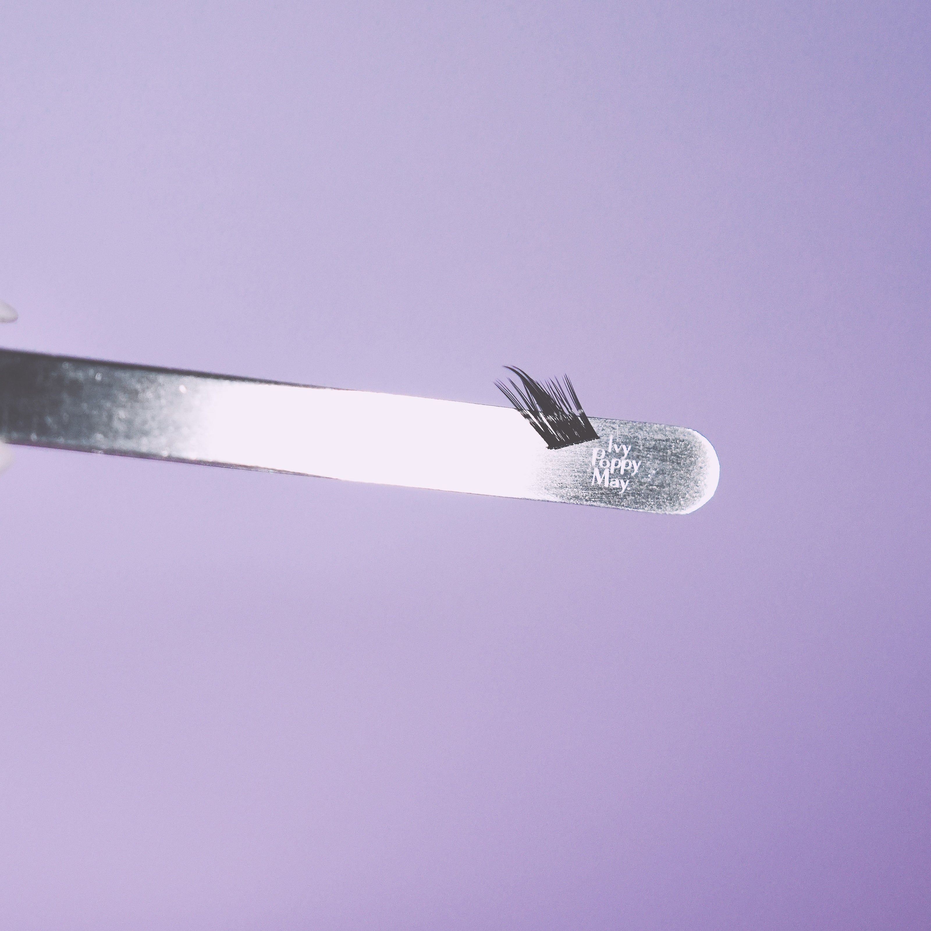 'madison' fox eye winged lash clusters