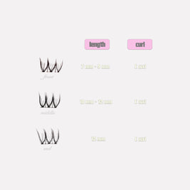 'forever young' lash clusters