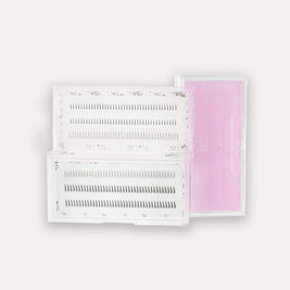 bottom lash individuals