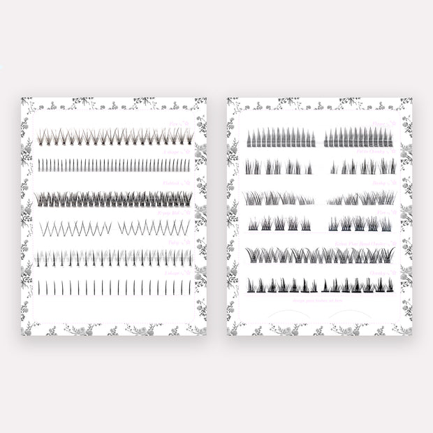 top lash individuals